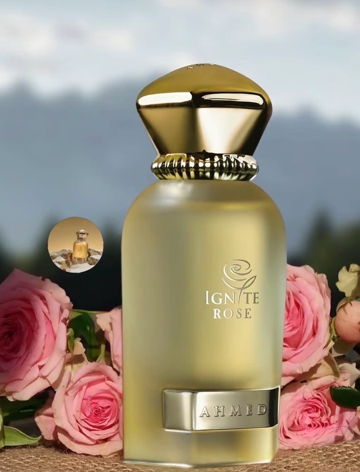 Ignite Rose