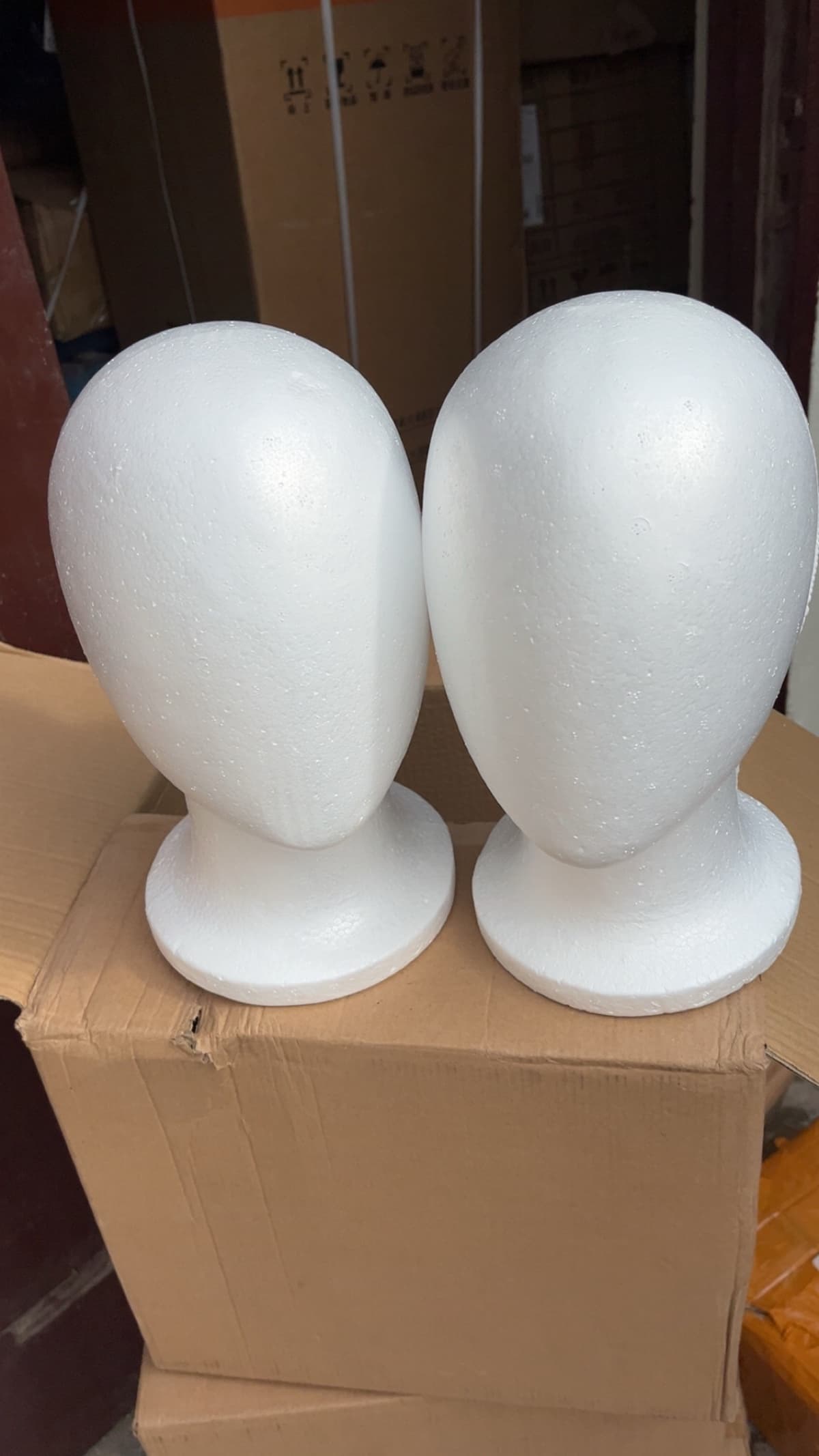 head mannequin