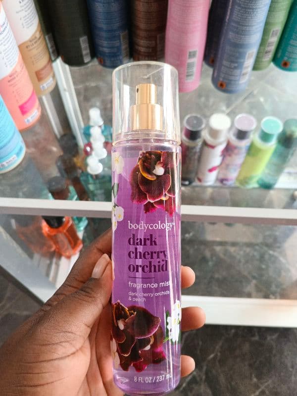 dark cherry orchid