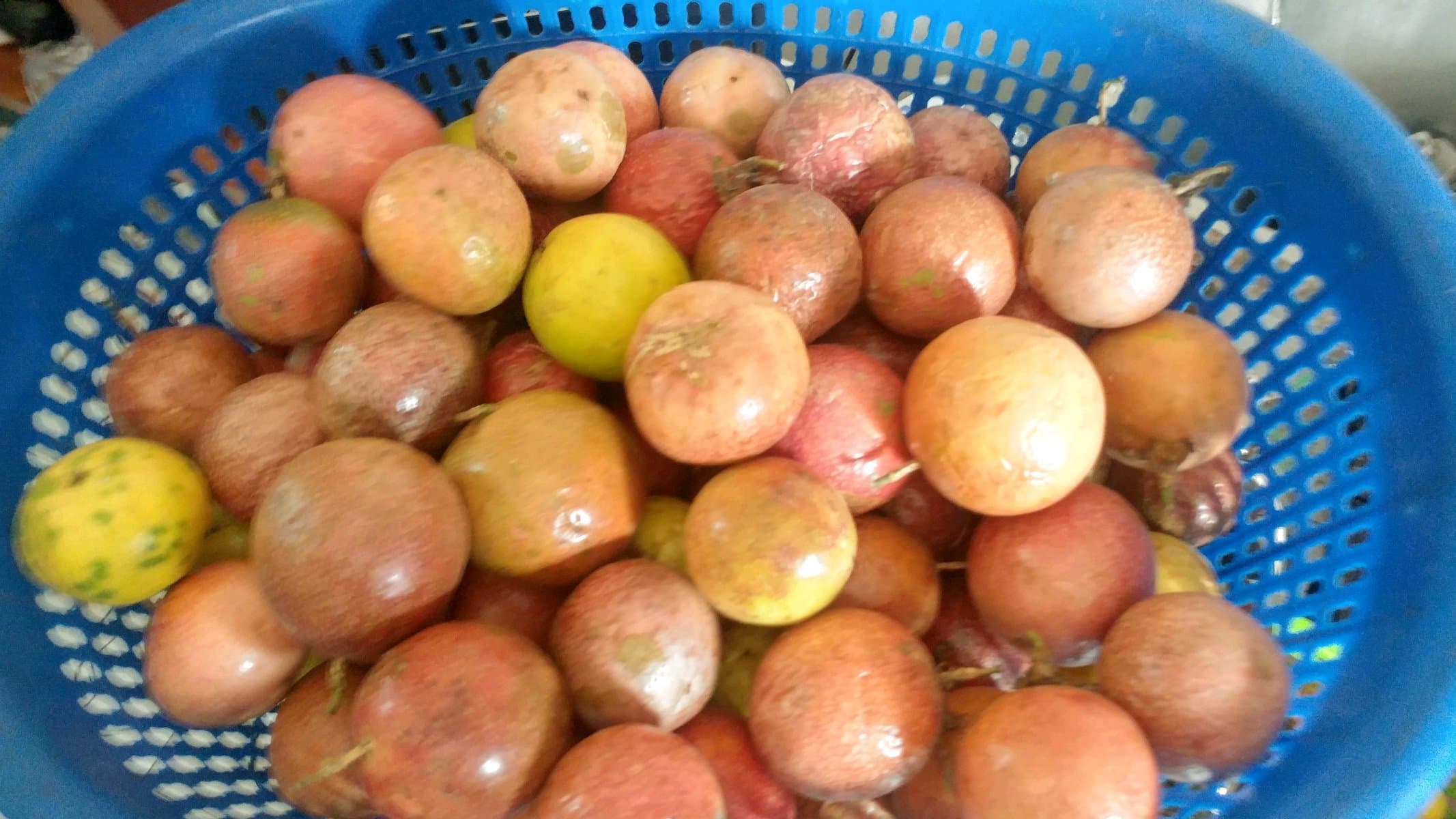 passion fruit