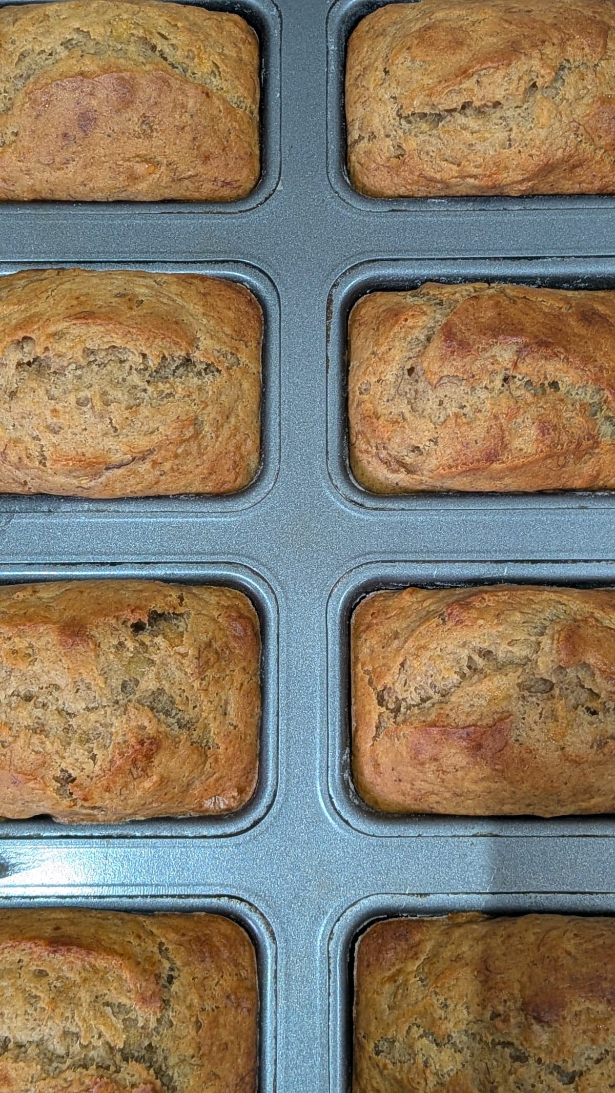 Mini Banana Square(Plain)