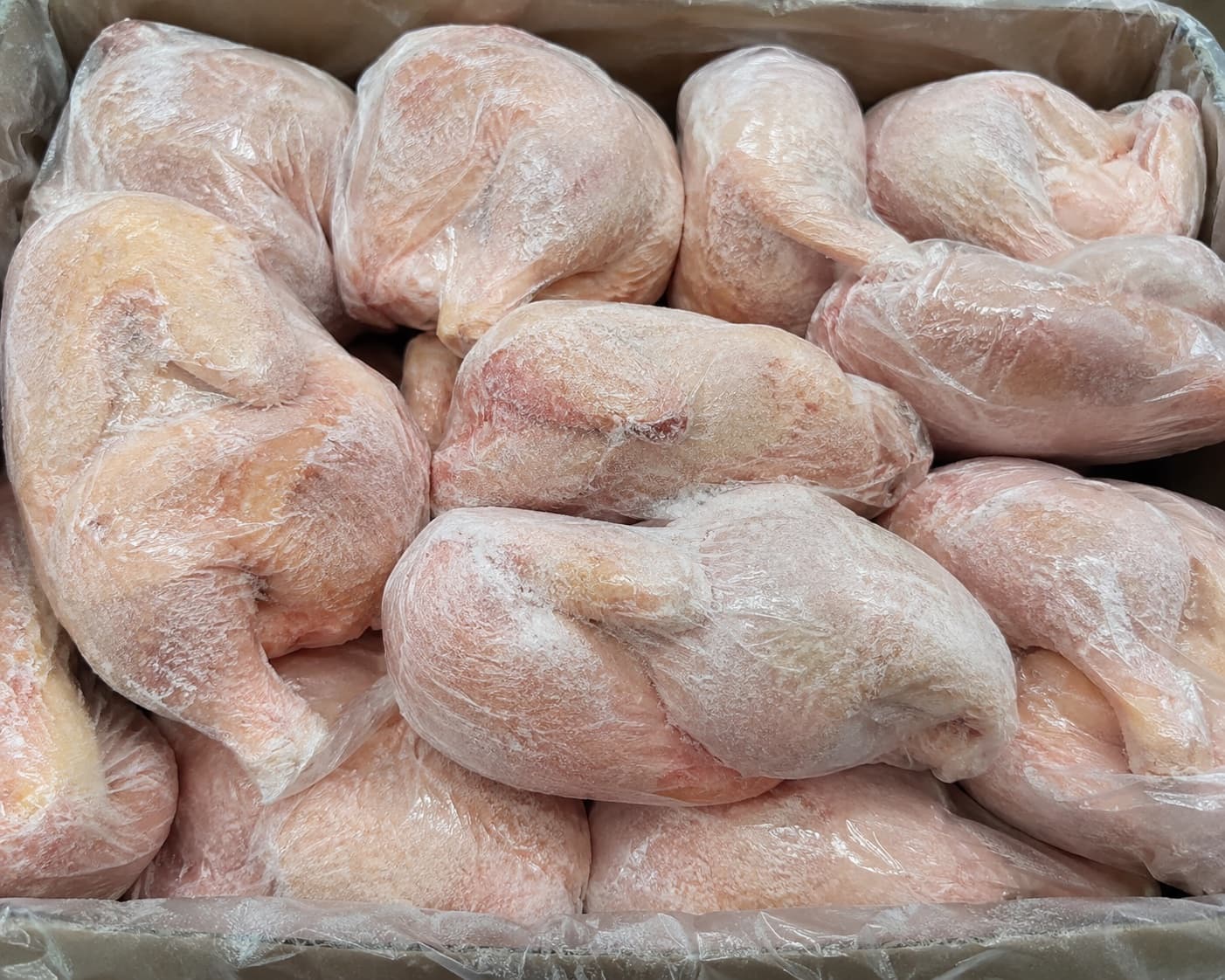 fresh chicken