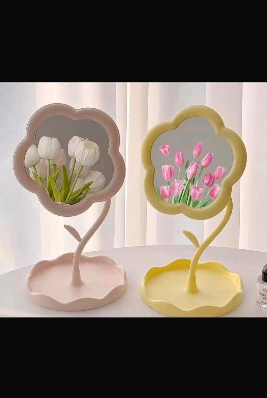 Face Mirror