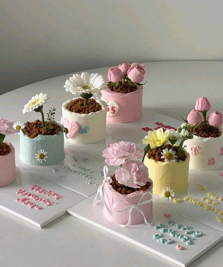 single bake
