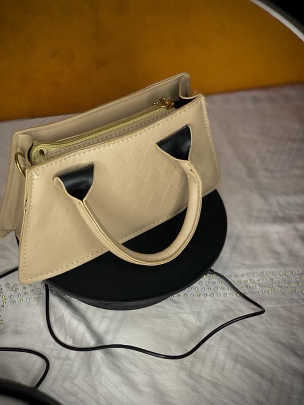 ladies bag