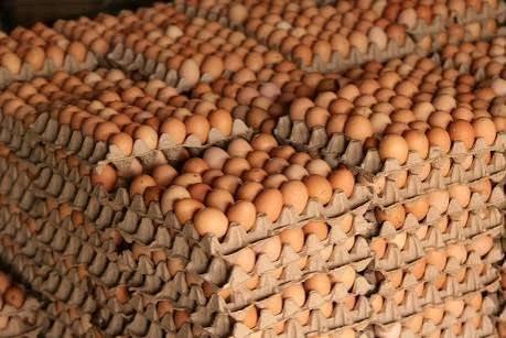 Crate of Eggs