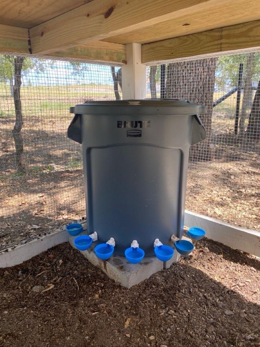12-Nipple Automatic Poultry Watering Station