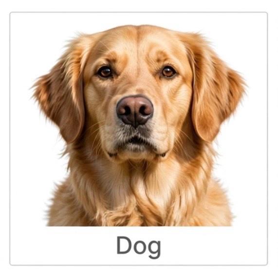 DOG FARM