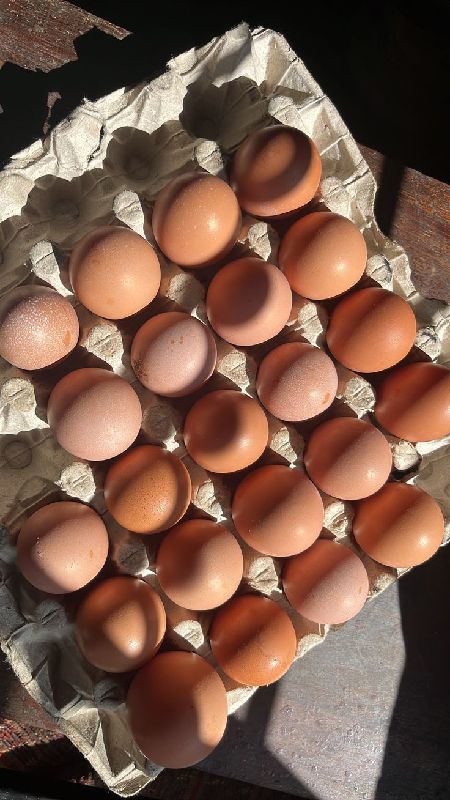 Egg small size