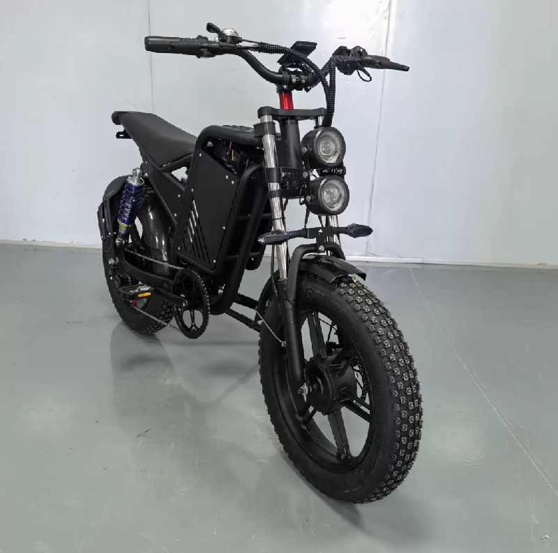 Electric bike